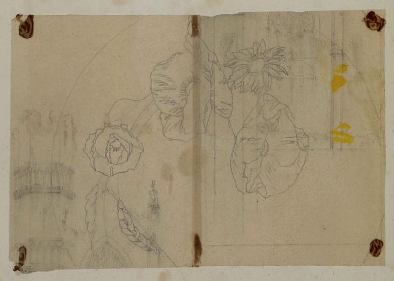 Fleurs, Thomas François Drake, 19e siècle