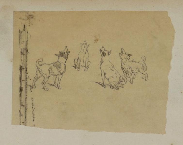 Etude de chien, Thomas François Drake, 19e siècle