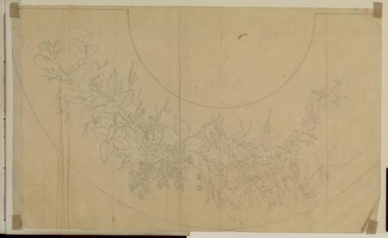 Fleurs, Thomas François Drake, 19e siècle