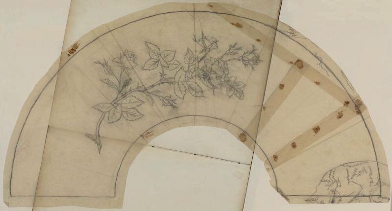 Roses, Thomas François Drake, 19e siècle