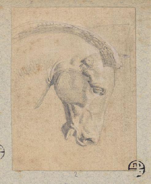 Tête de cheval, Alexandre Solde, 19e siècle