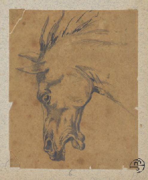 Tête de cheval, Alexandre Solde, 19e siècle