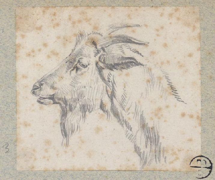 Tête de bouc, Alexandre Solde, 19e siècle