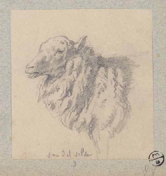 Mouton, Alexandre Solde, 19e siècle