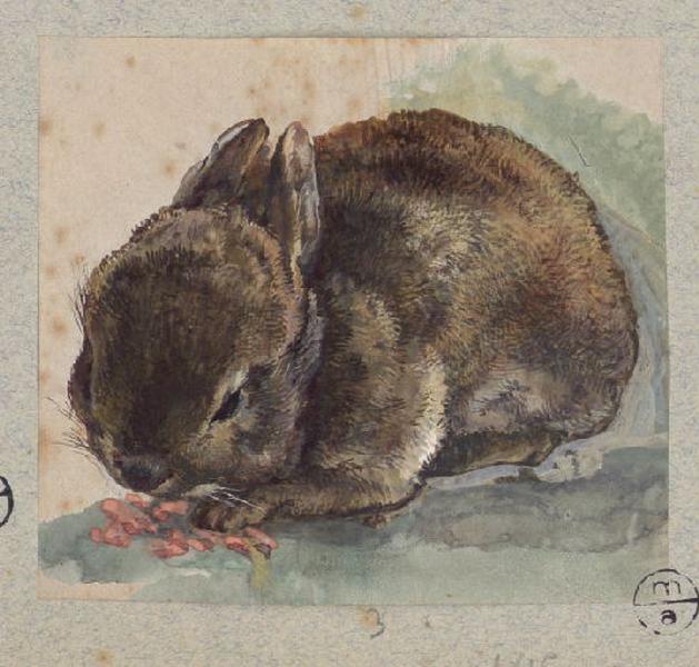 Lapin, Alexandre Solde, 19e siècle
