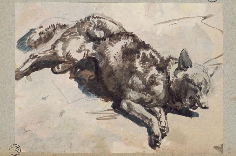Renard étendu, Alexandre Solde, 19e siècle