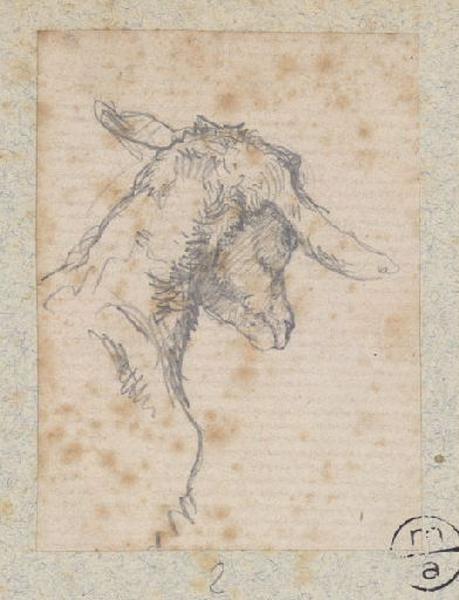 Tête de mouton, Alexandre Solde, 19e siècle
