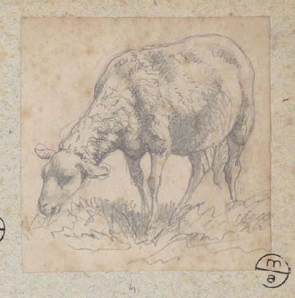 Mouton, Alexandre Solde, 19e siècle