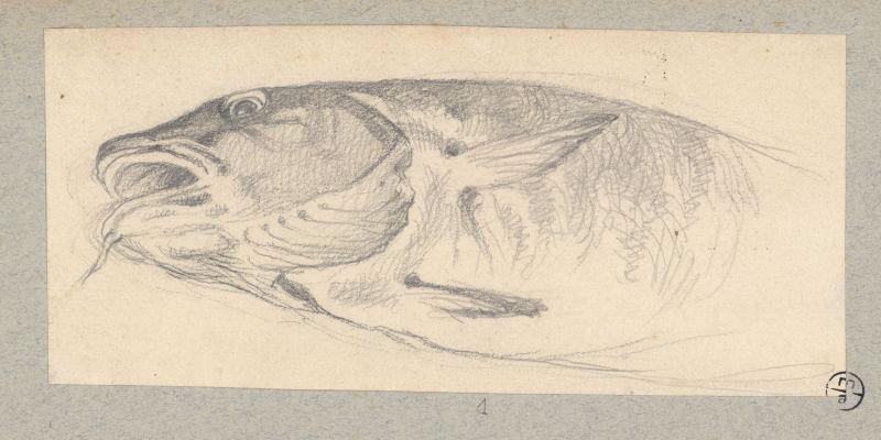 Poisson, Alexandre Solde, 19e siècle