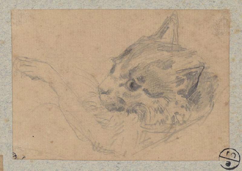 Chat, Alexandre Solde, 19e siècle