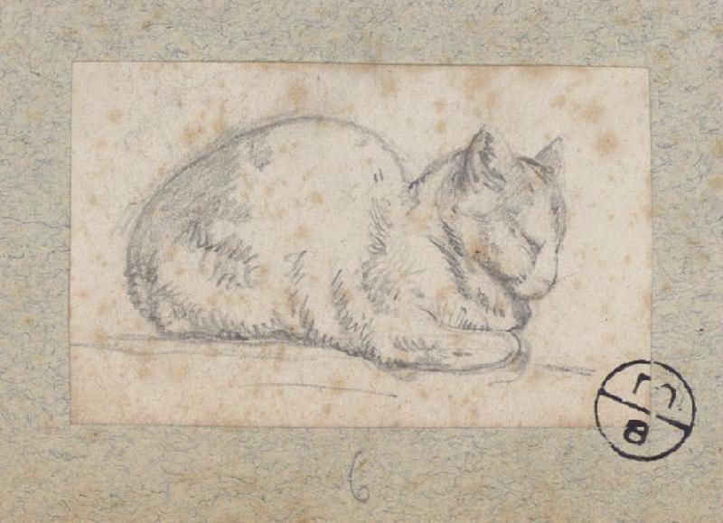 Chat dormant, Alexandre Solde, 19e siècle