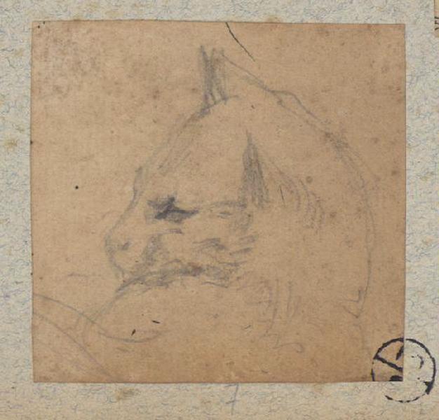 Tête de chat, Alexandre Solde, 19e siècle