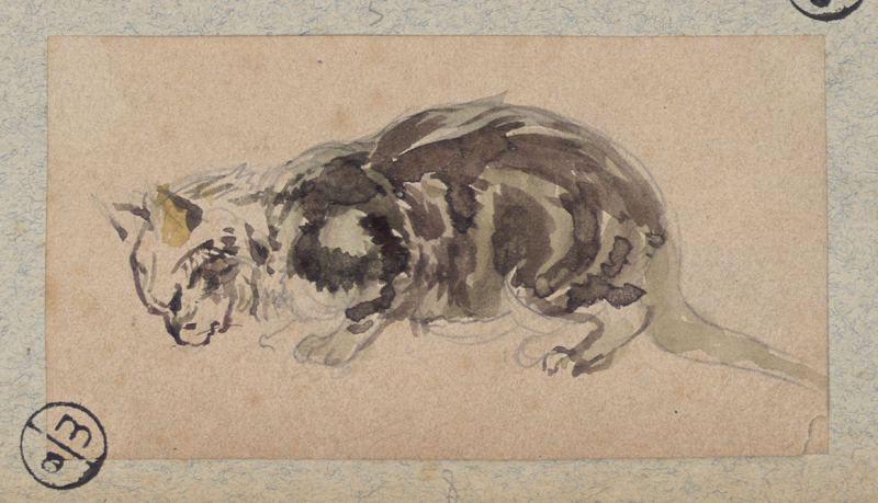 Chat, Alexandre Solde, 19e siècle