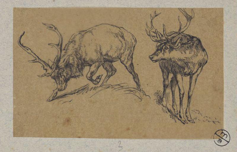 Cerfs, Alexandre Solde, 19e siècle