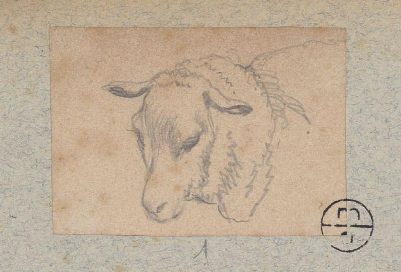 Tête de mouton, Alexandre Solde, 19e siècle