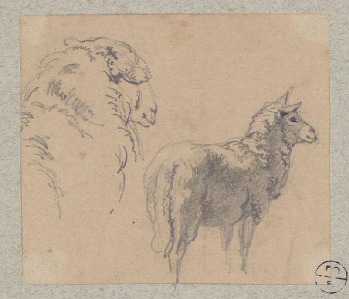 Moutons, Alexandre Solde, 19e siècle