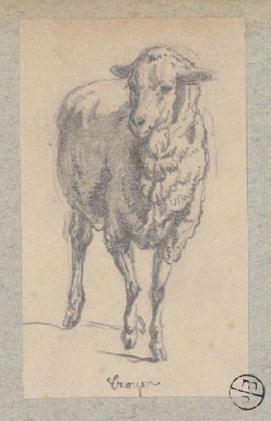Mouton, Alexandre Solde, 19e siècle