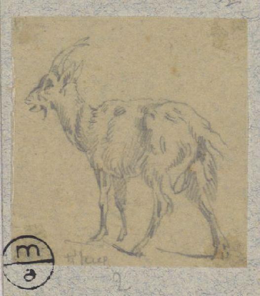 Chèvre, Alexandre Solde, 19e siècle