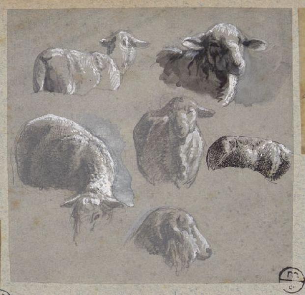Etude d'un mouton, Alexandre Solde, 19e siècle