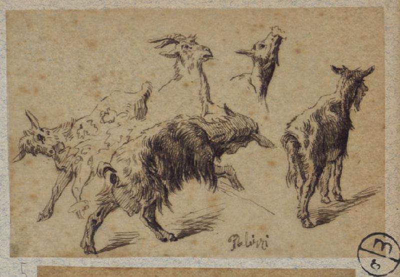 Chèvres, Alexandre Solde, 19e siècle