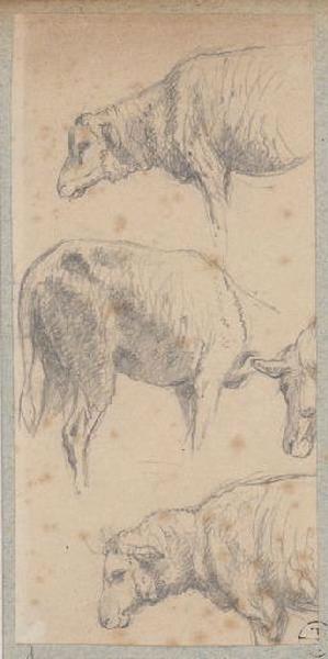 Etude de moutons, Alexandre Solde, 19e siècle