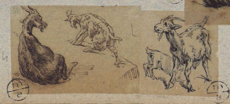 Chèvres et chevreau, Alexandre Solde, 19e siècle