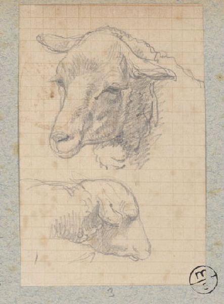 Têtes de moutons, Alexandre Solde, 19e siècle