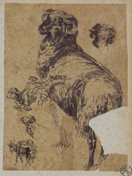 Béliers, mouton, chèvre et agneau, Alexandre Solde, 19e siècle