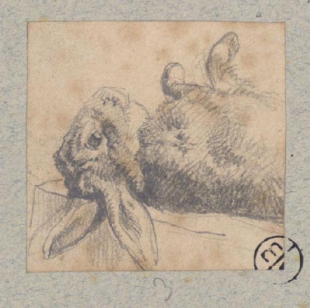 Lapin étendu, Alexandre Solde, 19e siècle