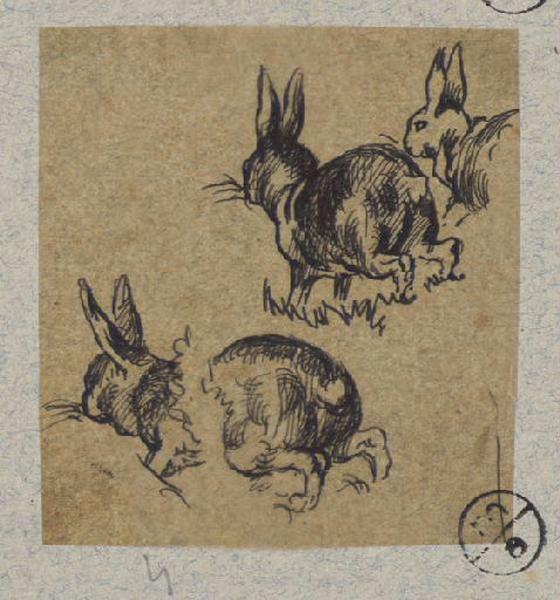 Lapins, Alexandre Solde, 19e siècle