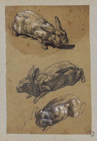Etude d'un lapin, Alexandre Solde, 19e siècle