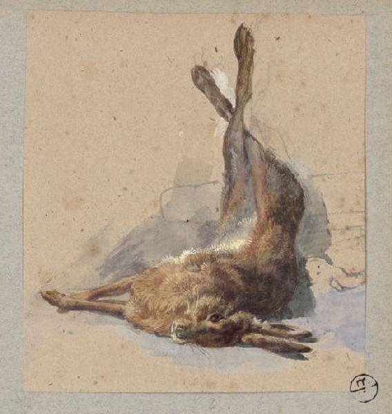 Lapin mort pendu par les pattes_0