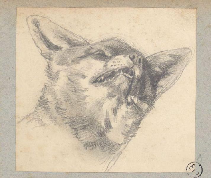 Tête de renard, Alexandre Solde, 19e siècle