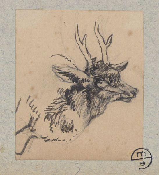 Tête de cerf, Alexandre Solde, 19e siècle