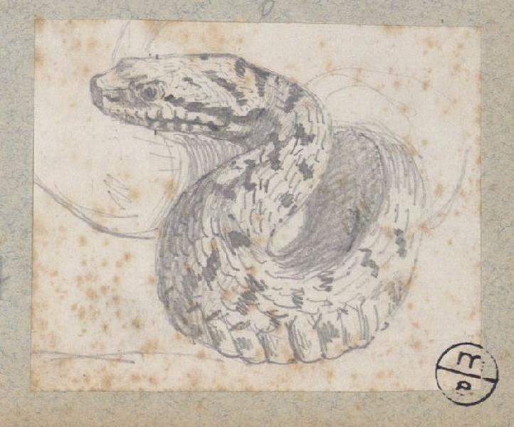 Serpent, Alexandre Solde, 19e siècle