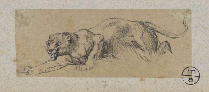 Fauve, Alexandre Solde, 19e siècle