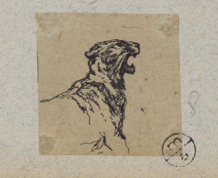 Fauve rugissant, Alexandre Solde, 19e siècle