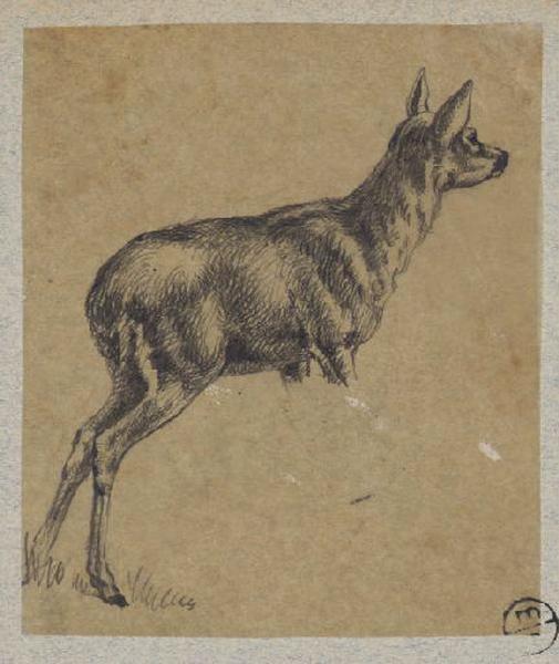 Biche, Alexandre Solde, 19e siècle