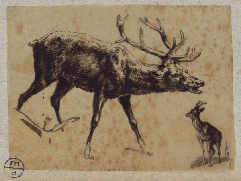 Deux cerfs, Alexandre Solde, 19e siècle
