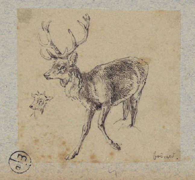 Cerf, Alexandre Solde, 19e siècle