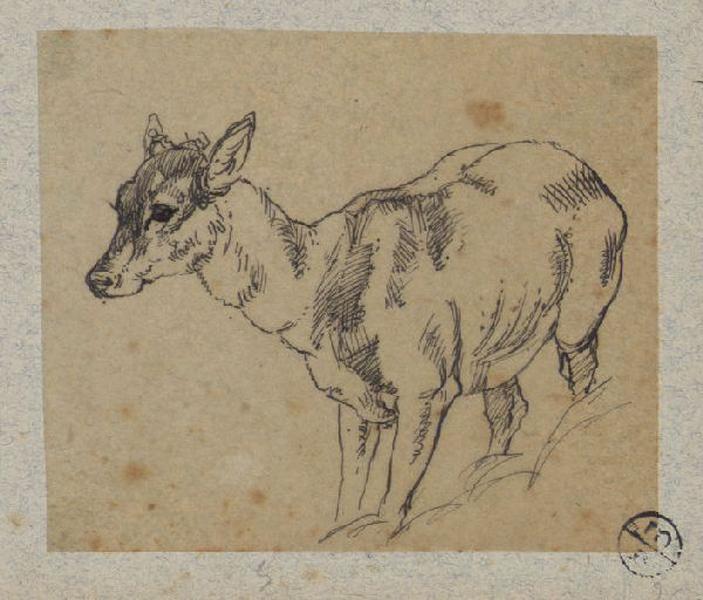 Biche, Alexandre Solde, 19e siècle