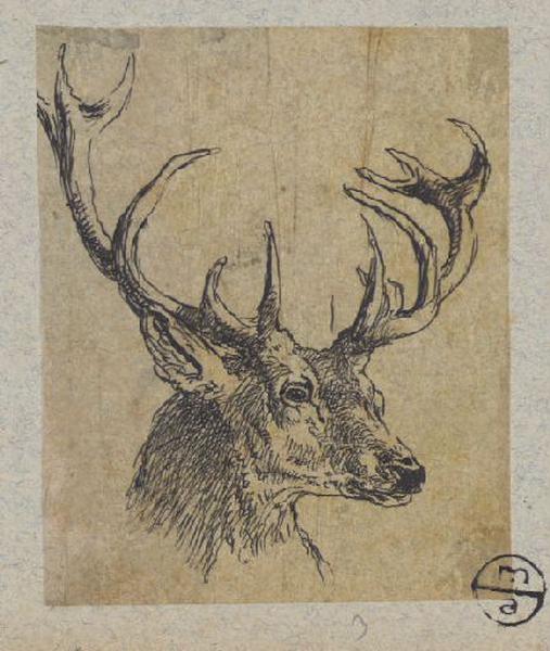 Tête de cerf, Alexandre Solde, 19e siècle