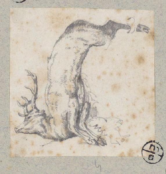 Cerf mort, Alexandre Solde, 19e siècle