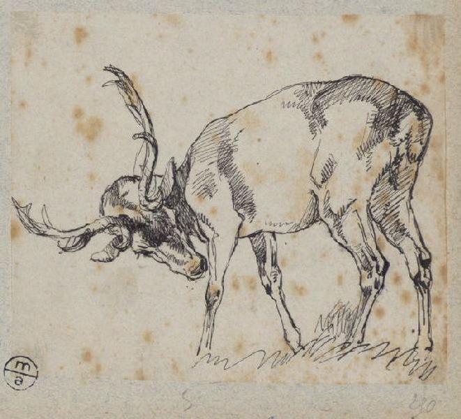 Cerf, Alexandre Solde, 19e siècle