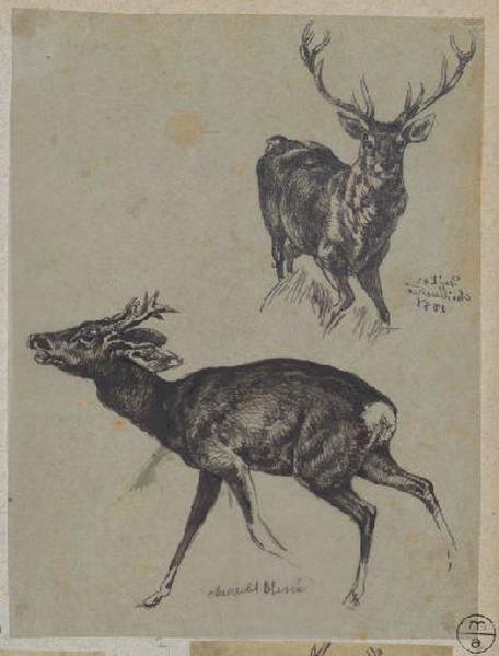Chevreuil blessé et cerf, Alexandre Solde, 19e siècle