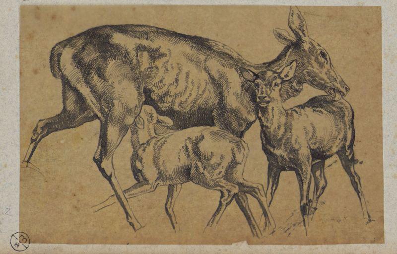 Biche allaitant, Alexandre Solde, 19e siècle