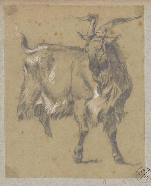 Bouc, Alexandre Solde, 19e siècle