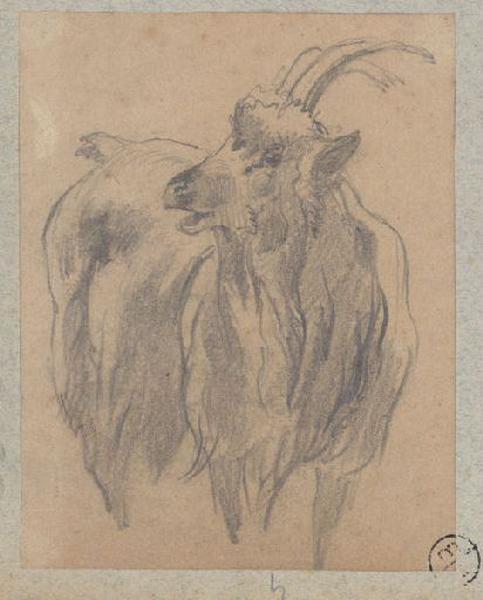 Bouc, Alexandre Solde, 19e siècle