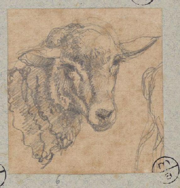 Tête de mouton, Alexandre Solde, 19e siècle