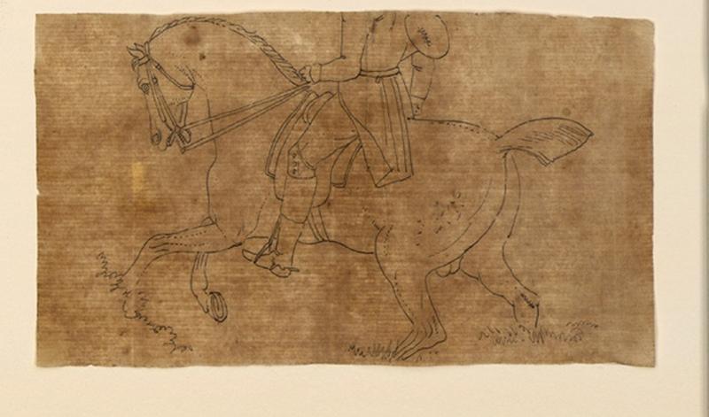 Cheval galopant_0